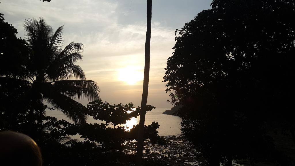 Nan Inn Bungalow Karon Rum bild