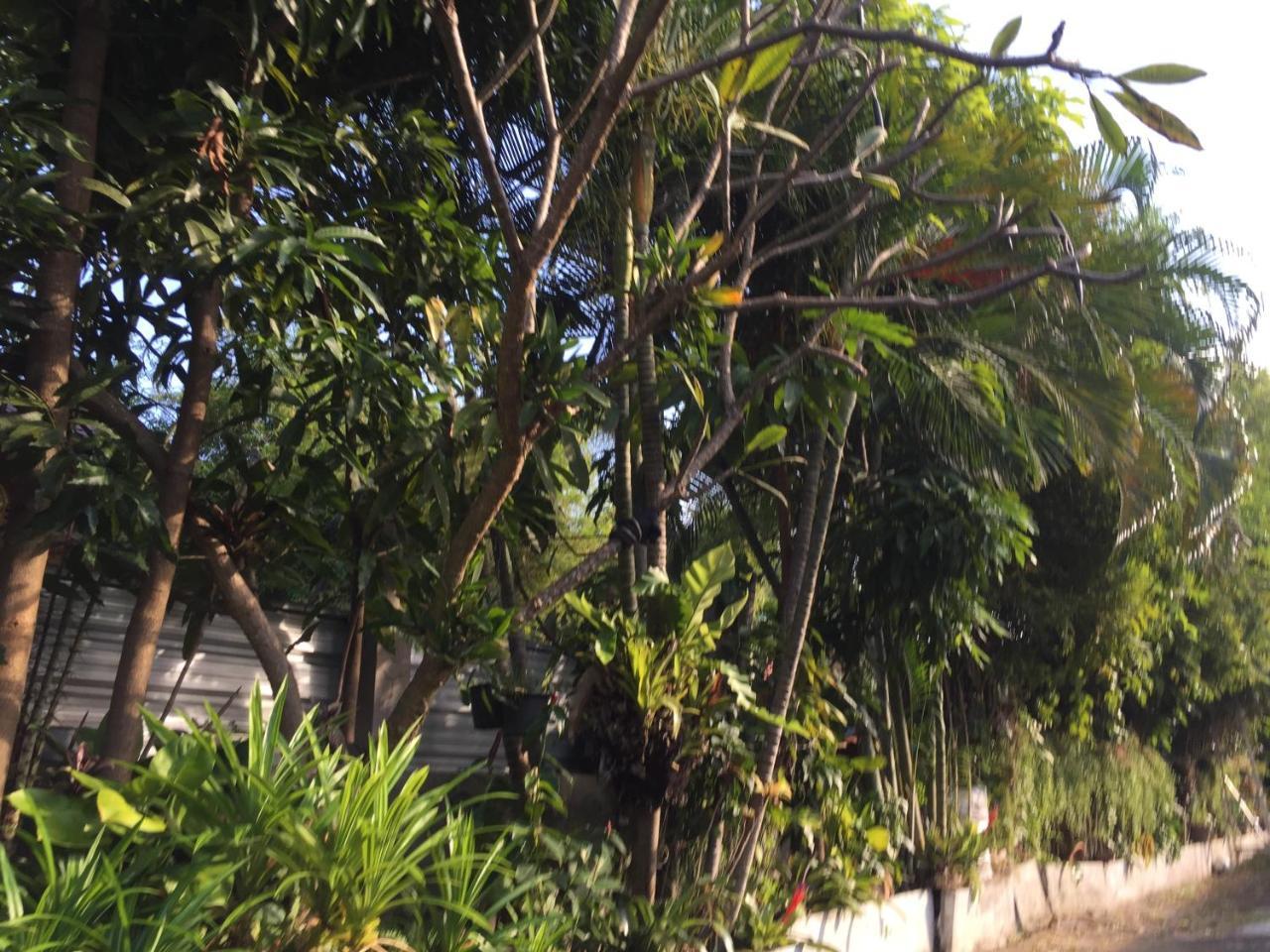 Nan Inn Bungalow Karon Exteriör bild